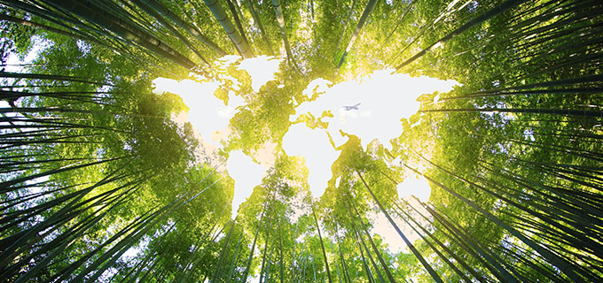 改变能源结构,承担未来责任